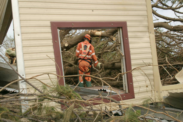 Faith, NC Tree Care Services Company